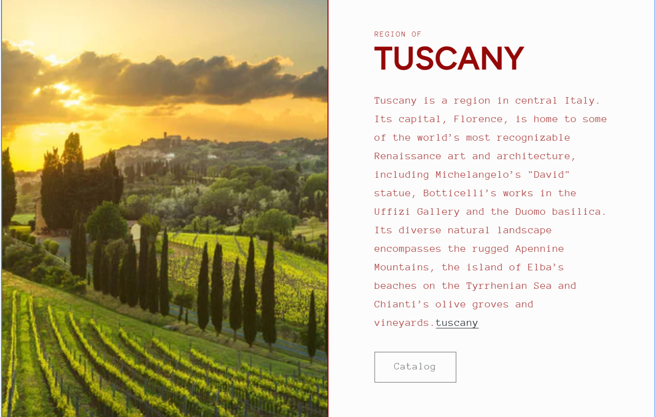 Tuscany vineyard